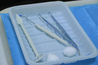 无套路洗牙新体验 9.9元守护口腔健康，专业护理触手可及